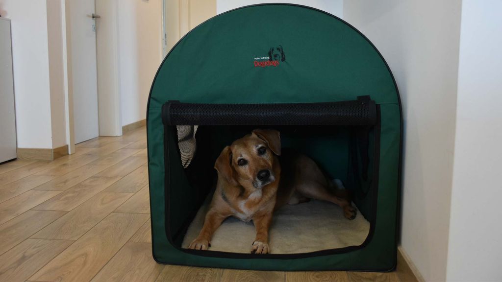 BoxenTraining Trickydogs Hundetraining Rückzugsort für deinen Hund