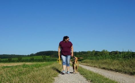 Spaziergang / Gassi-Training