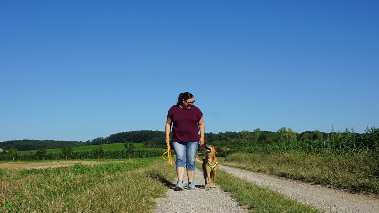 Spaziergang / Gassi-Training