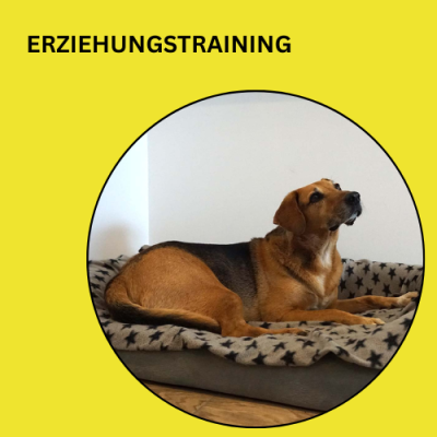 Erziehungstraining