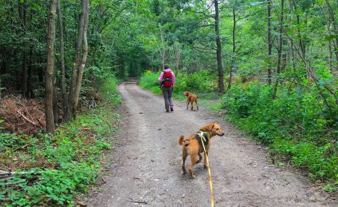 Social Walk – Der Lernspaziergang