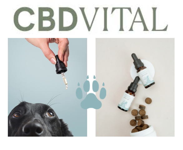 CBD Vital Logo CBD Vital Logo