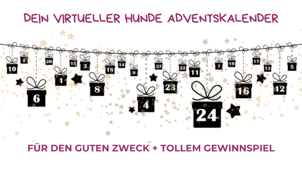 HeaderAdventskalender