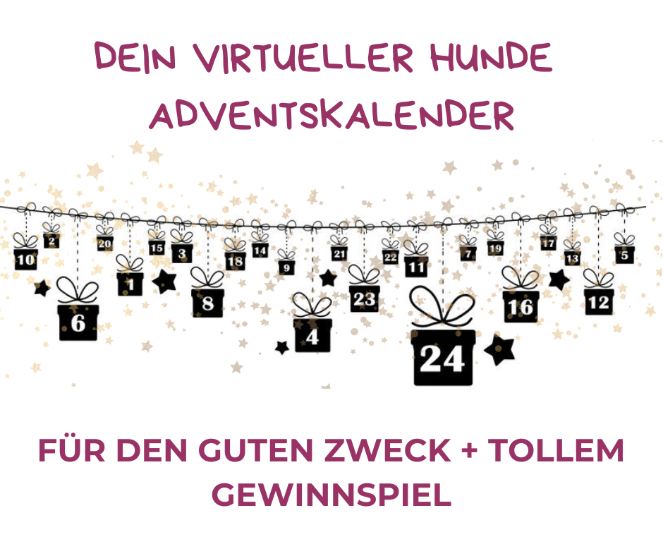 Mobile Adventskalender Mobile Adventskalender