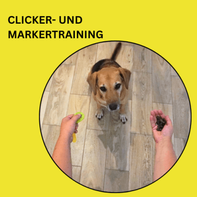 Clicker-Training / Marker-Training