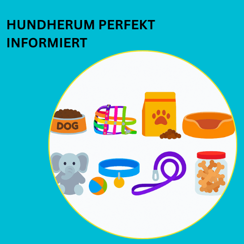 Online – Workshop – Hundherum perfekt informiert