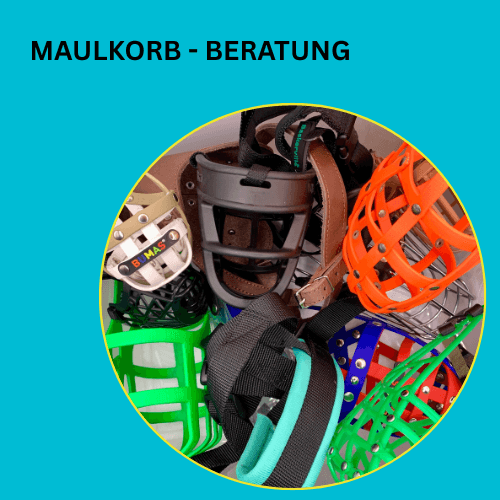Online – Workshop – Maulkorb – Beratung