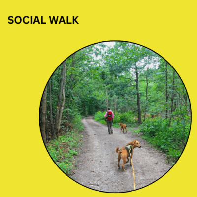 Social Walk – Der Lernspaziergang