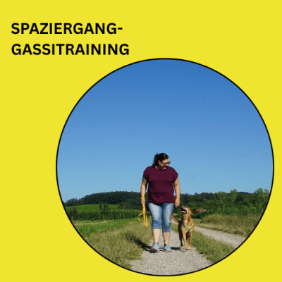 Spaziergang / Gassi-Training